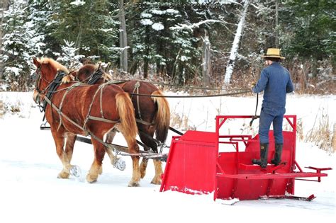 Horse Drawn Snow Plow Amish Amish Culture Amish Country