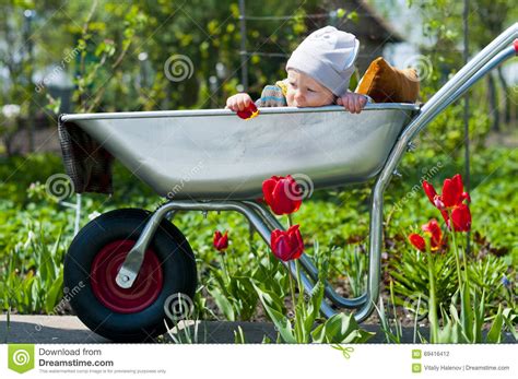 A Child In A Wheelbarrow Stock Photo Image Of Health 69416412