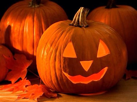Pumpkin Designs!!! - Musely
