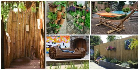 They are extremely durable plants that you can see as hedges. 13 DIY Ideas How To Use Bamboo Creatively For Garden