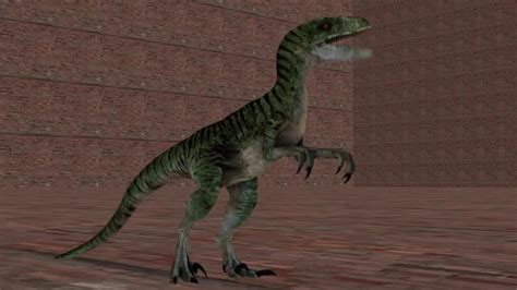 Sfm Velociraptor Test Youtube