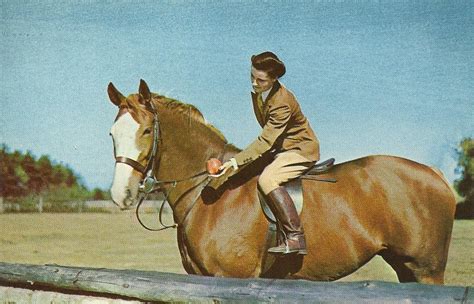 Vintage Travel Postcards Horseback Riding