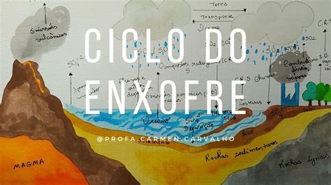 Ciclo Biogeoquimico Do Enxofre