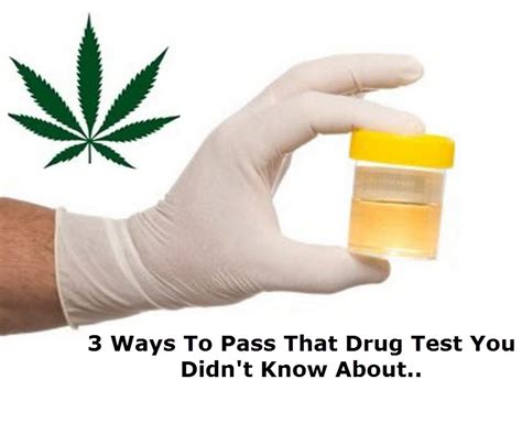 2 Hours To Pass A Drug Test What Should I Do First