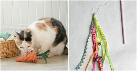 15 Easy Diy Cat Toys You Can Make For Your Kitty Today