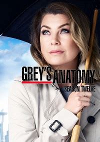 Season 17 of 'grey's anatomy' might be the last, so here's everything we know so far. Grey's Anatomy Saison 12 Episode 17 Streaming VOSTFR