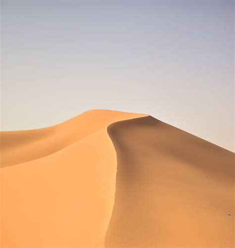 Desert Sand Dunes Landscape Hd Phone Wallpaper Pxfuel