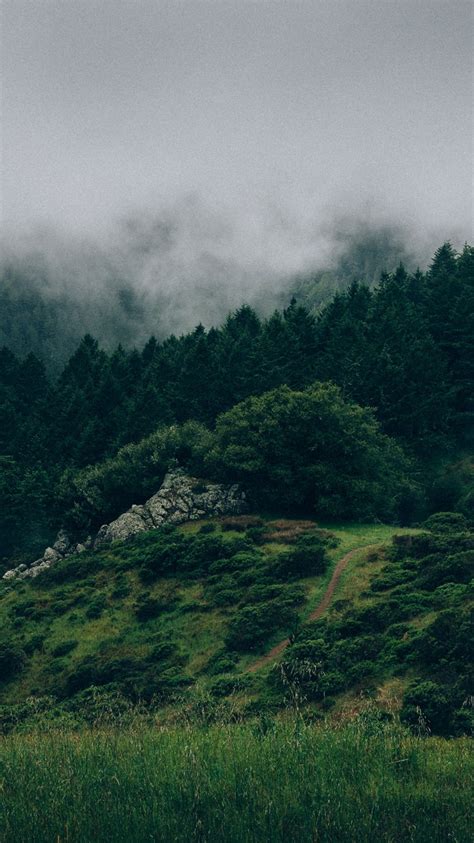Beautiful Nature Green Forests Iphone Wallpaper Iphone