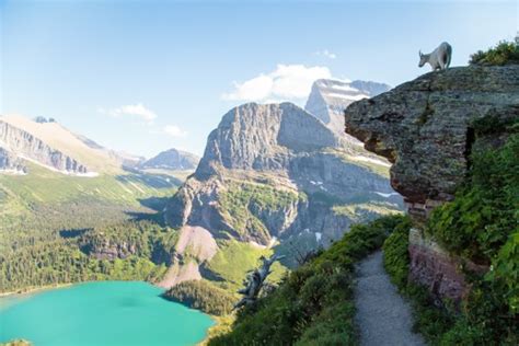5 Great Spots For Photography In Glacier National Park