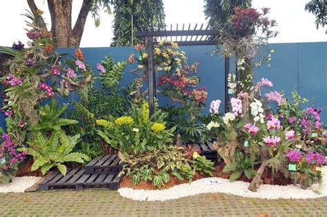 Maybe you would like to learn more about one of these? Different Kinds Of Flowering Plants In The Philippines ...