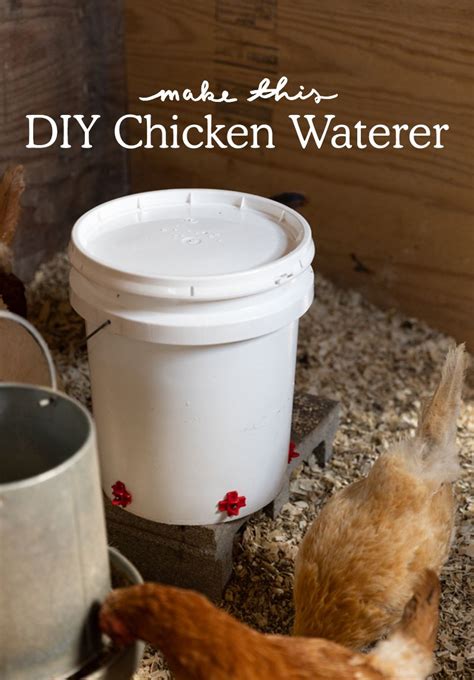 How To Create A Diy Chicken Waterer Easy And Cost Effective