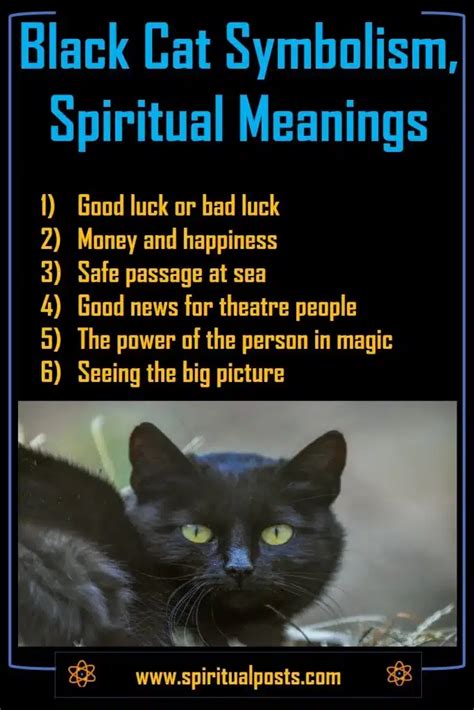 Significados Espirituales Y Simbolismo Del Gato Negro ¡cruce El Camino