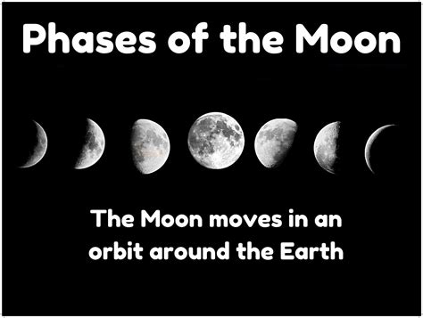 Natural Science Poster Phases Of The Moon • Teacha