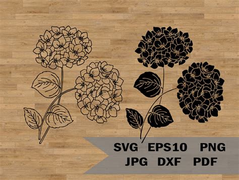 Hydrangea template svg, Garden flower SVG cut file, Floral Cricut svg