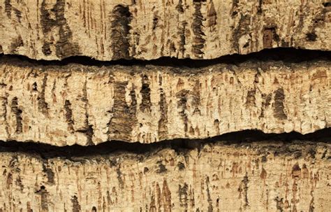 Raw Cork Planks Stock Photos Free And Royalty Free Stock Photos From