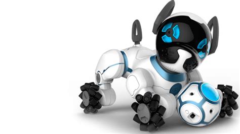 5 Futuristic Robots You Must Have