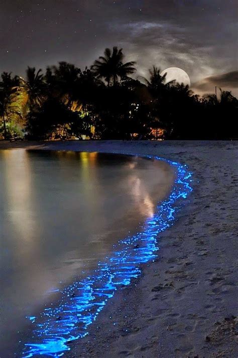 Sea Of Stars ~ Vaadhoo Island Maldives ♡ Cool Places To Visit