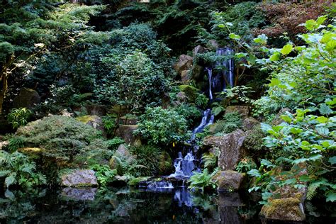 Free Images Landscape Tree Nature Outdoor Rock Waterfall Creek