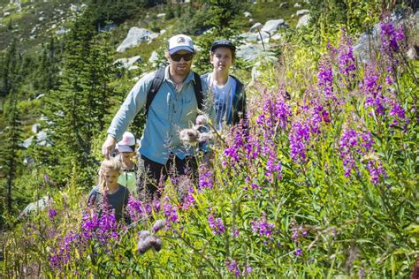Hiking With Kids Whitecap Alpine