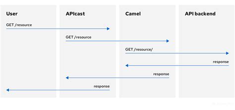 In camel 2.10 or older the sql component can be used only as a producer. Chapter 4. APIcast policies Red Hat 3Scale 2-saas | Red ...
