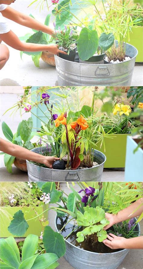 Their crunchy pods are so delicious plucked straight from the vine that we find they rarely make it all the way inside. Easy DIY Solar Fountain in 1 Hour! {with Pond Water Plants ...