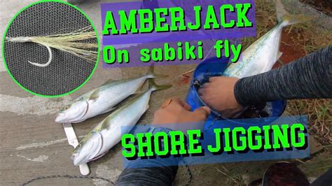 Sabiki Jigging How To Catch Yellowtail Amberjack Youtube