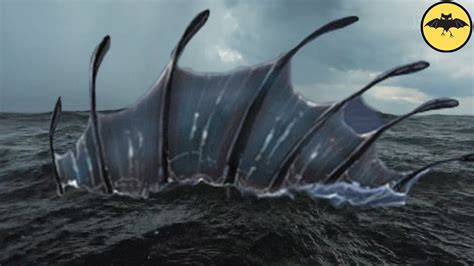 10 Terrifying Titans That Lived In Our Prehistoric Oceans Youtube