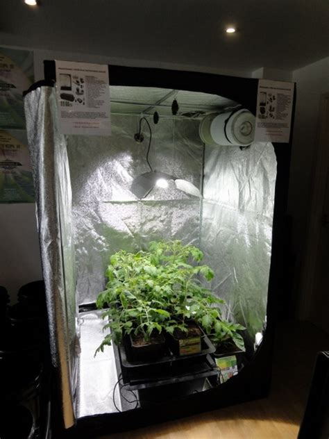 The day i got a recommendation for medicinal cannabis was a relief. Grow cabinet and grow box ideas - how to develop plants ...