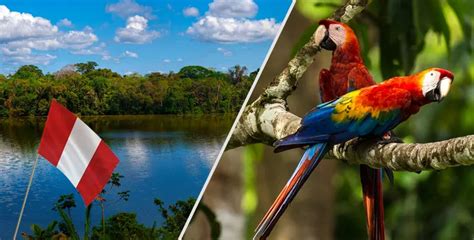 Descubre Los Encantadores Lugares Turísticos De La Selva Peruana