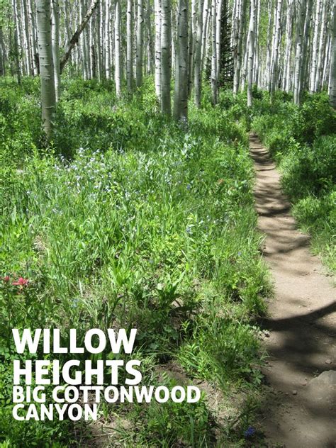 The cottonwood canyon wilderness area is within the confines of the red cliffs national recreation area. 5 Hikes You've Never Heard of in Big Cottonwood Canyon ...
