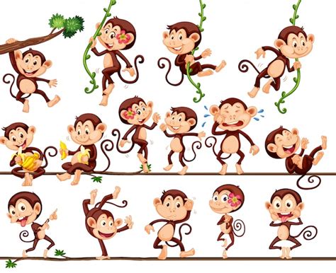 Monos haciendo diferentes acciones ilustración Vector Premium