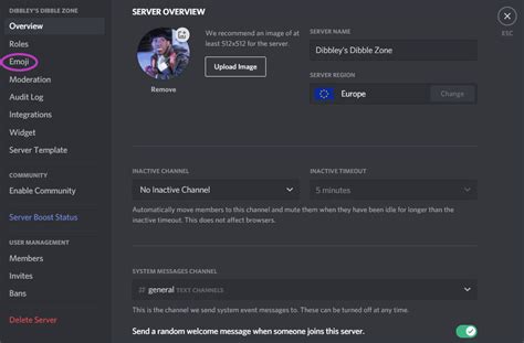 How To Add Emojis To Discord Status How To Make Discord