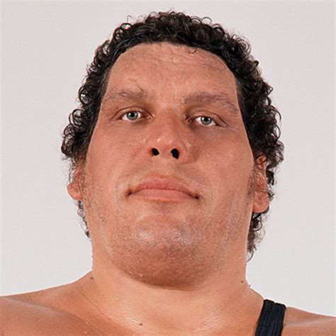 How Tall Was Andre The Giant Murabbi