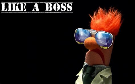 Beaker The Muppet Show Like A Boss Wallpaper 1920x1200 9583 Muppets Funny Meme Pictures