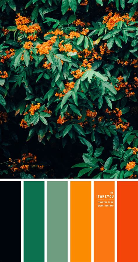 Black Green And Orange Color Scheme Color Palette 32 Orange Color