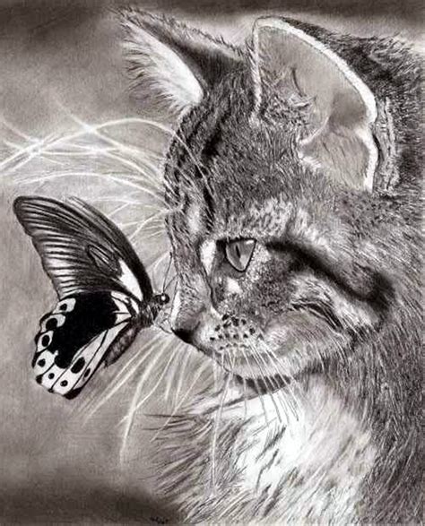 There are some things that never lose their charm; 40 Realistic Animal Pencil Drawings