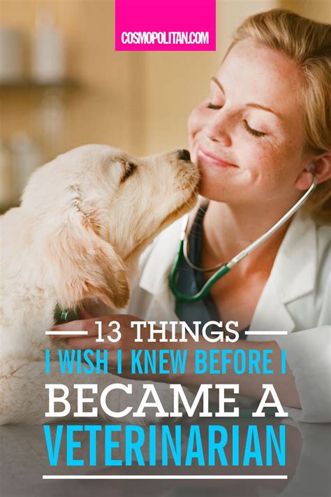Things To Know Before Going To Vet School – CollegeLearners.com