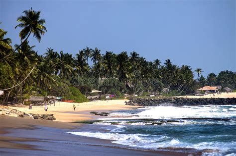 Tropical Beach In Sri Lanka Editorial Photography Image Of Summer