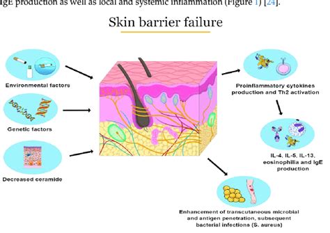 Pathophysiology Of Atopic Dermatitis Download Scientific Diagram