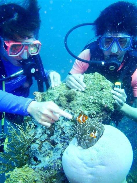 Coron Divers Dive Shop Scuba Diving In The Philippines