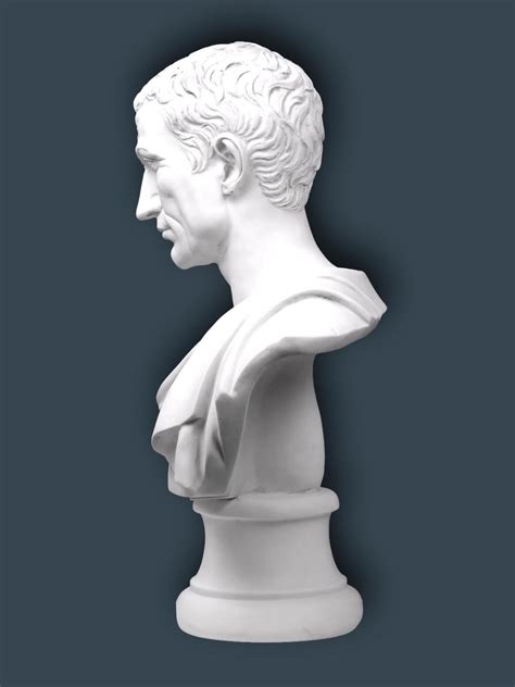 Magnificent Bust Of Julius Caesar Amiska