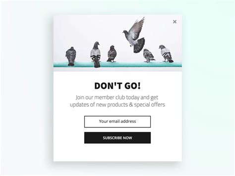 28 Examples Of Highly Converting Popup Designs With The Science Behind