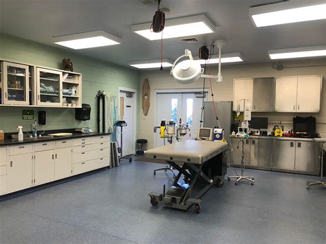 cheyenne pet clinic staff - Amira Dejesus