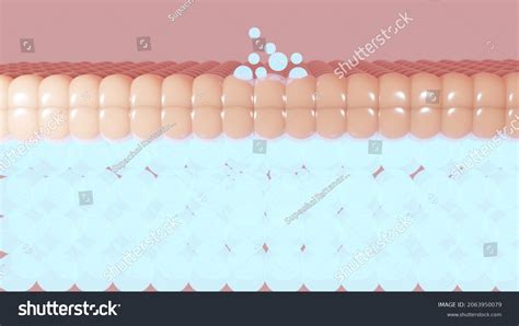 3d Rendering Skin Structure Layer Microstructure Stock Illustration