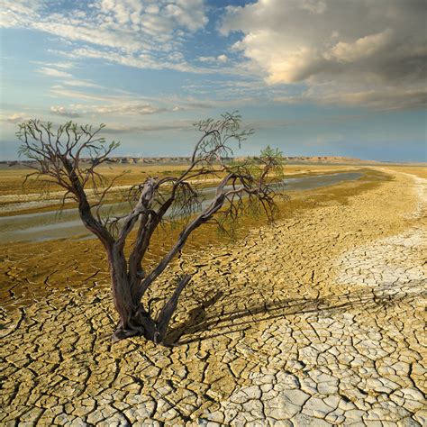 Climate Change Is Affecting All Life On Earth And Thats Not Good News For Humanity