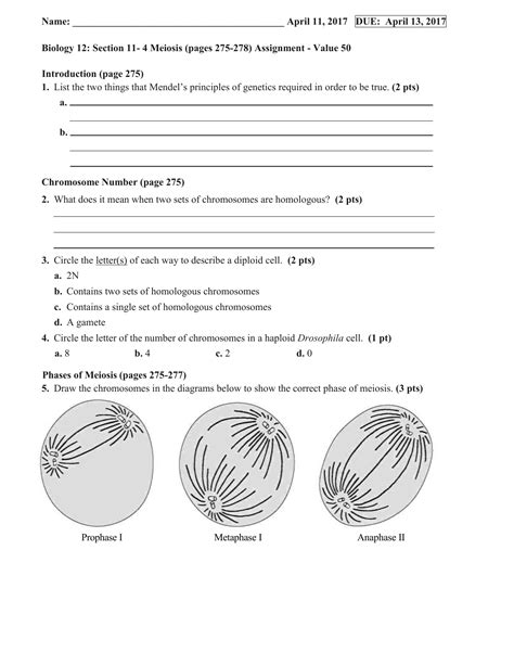 Biology lesson plans, worksheets, tutorials and resources for teachers and students. Biology Section 11 4 Meiosis Worksheet Answer Key — db ...