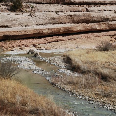 Stream Canadian River Headwaters By New Mexico Watersheds Listen