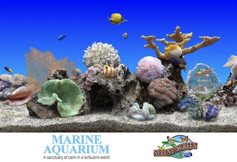 3d Marine Aquarium Screensaver Windows 7 Aquarium Views