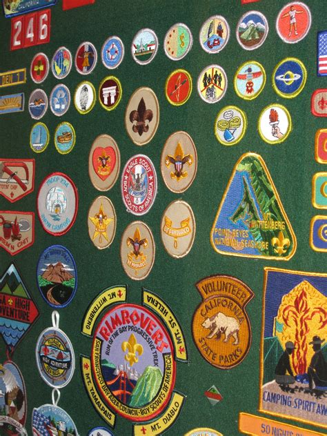Insider Tips For Earning Boy Scout Merit Badges