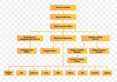 Board Of Directors Organization Chart